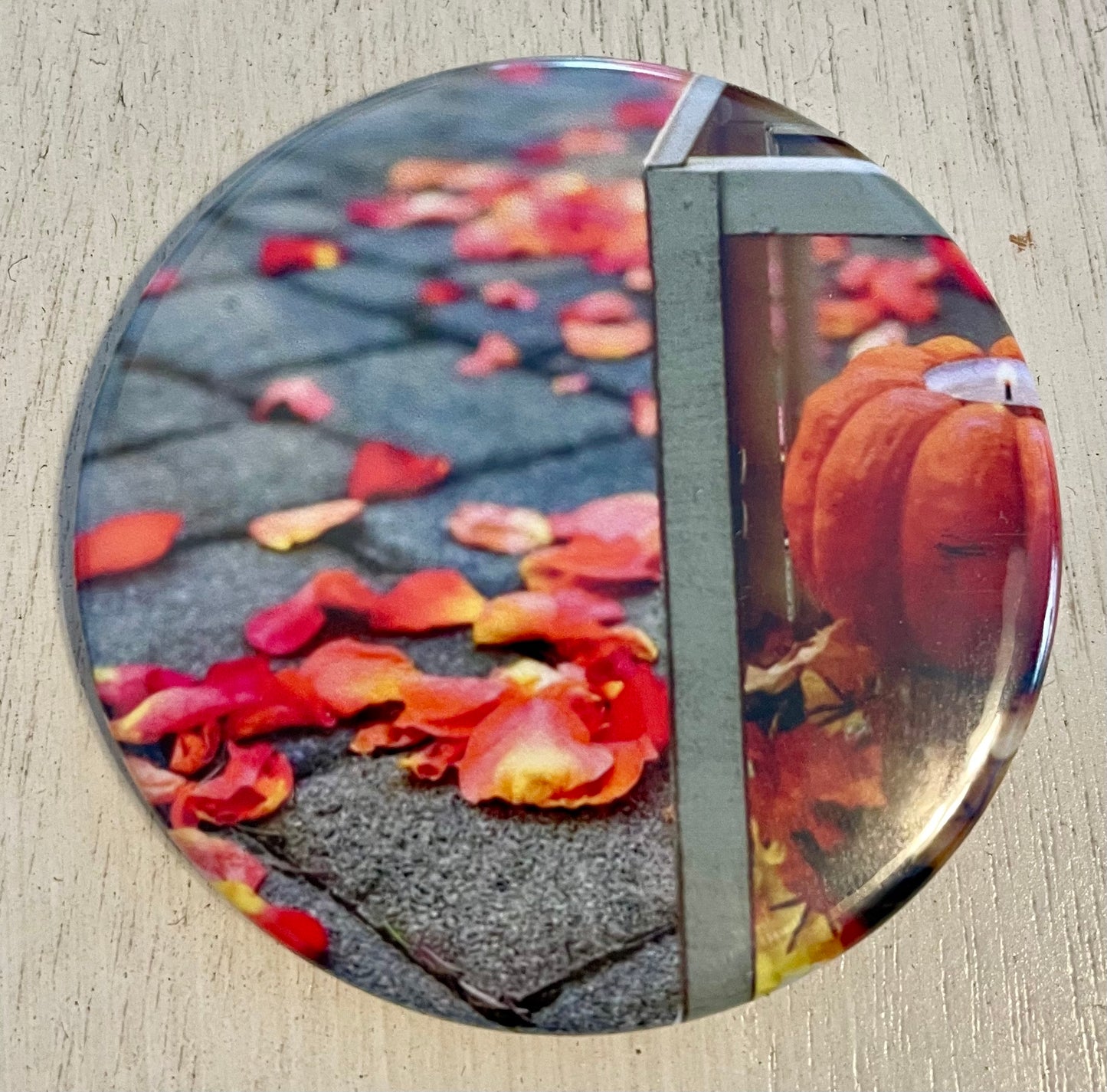 Set of 12 Custom Photo Magnets - 2.25 inch diameter - Perfect for any Occasion!